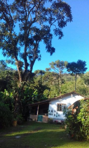 Sítio Quinhão Genciana